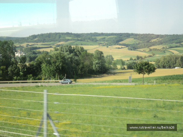 photo 441424