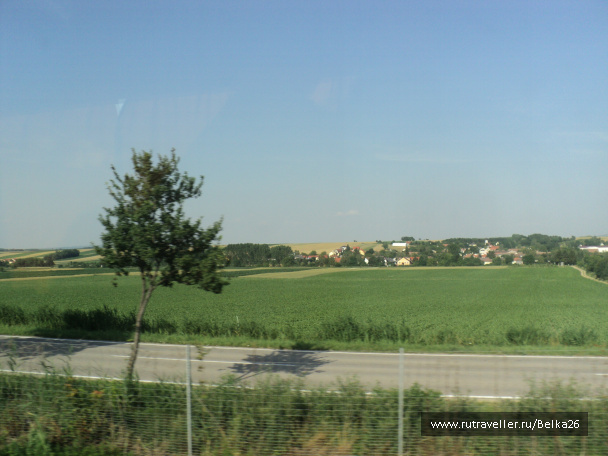 photo 441431