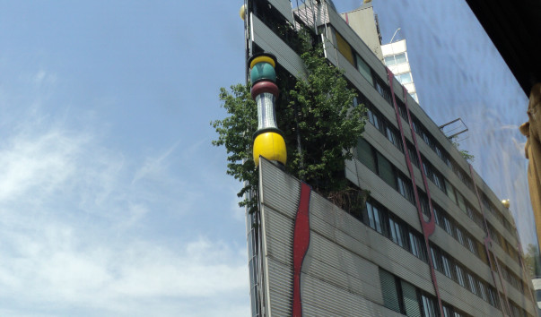 DSC02421