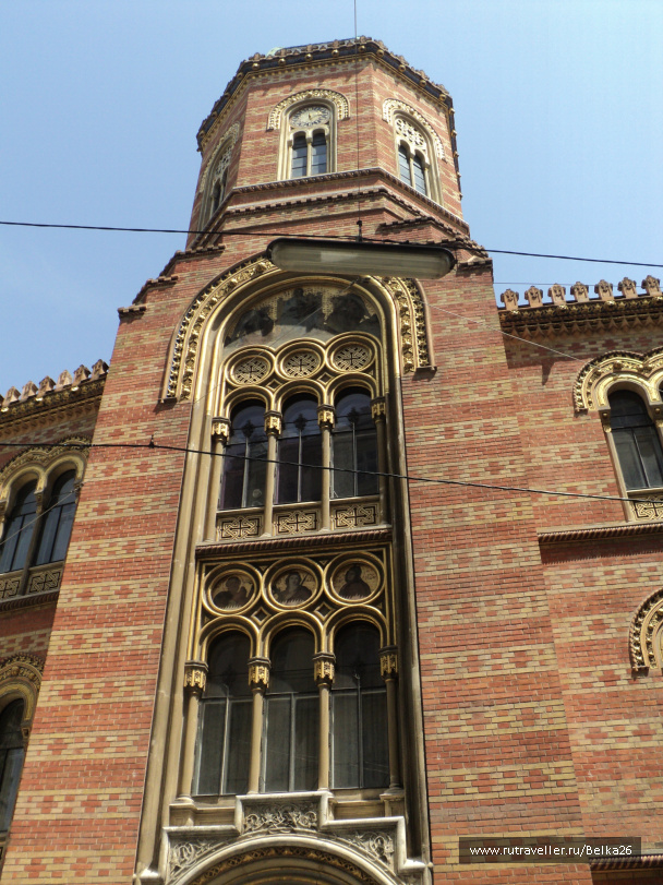 photo 556928