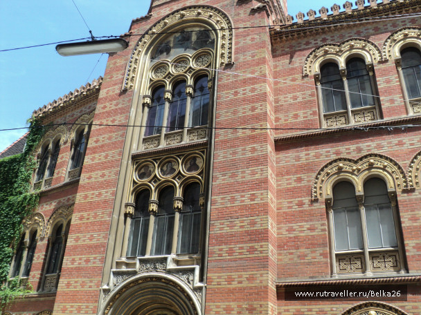 photo 556929