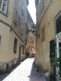 photo 556931