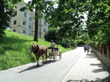 photo 462001