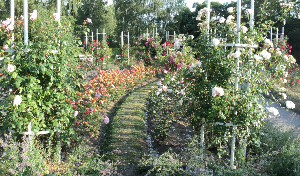 DSC01853