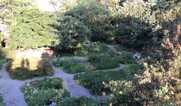 DSC01864
