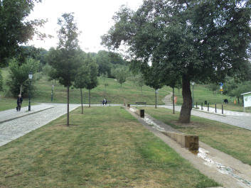 photo 700218