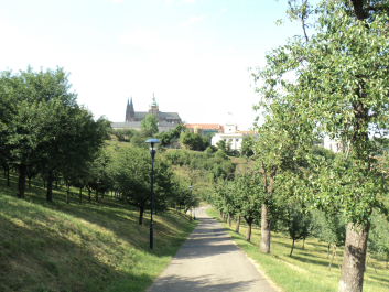 photo 700251