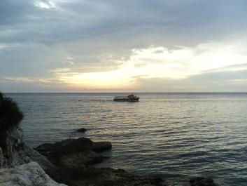 photo 519473