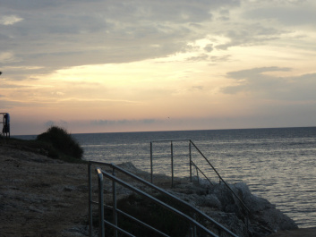 photo 519475