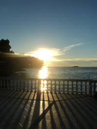 photo 545017
