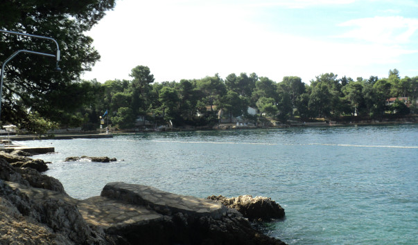 DSC03606