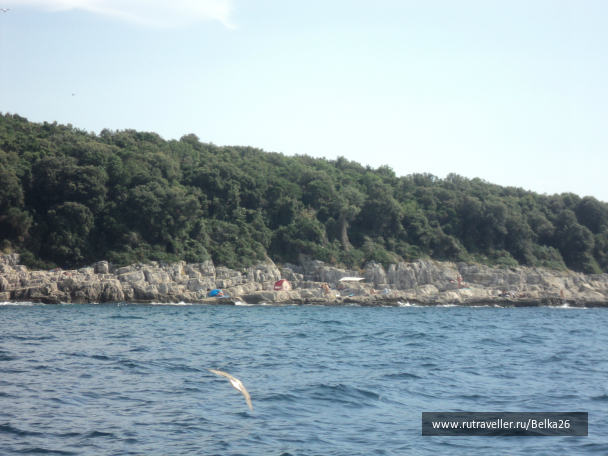 photo 687533