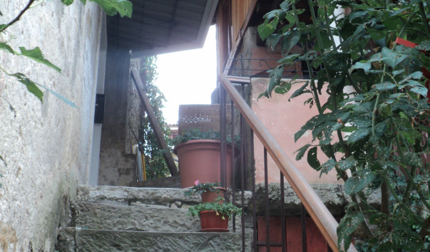 DSC03907