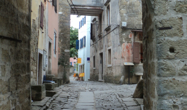DSC03888