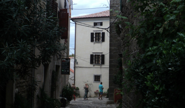 DSC03928