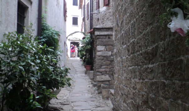 DSC03959