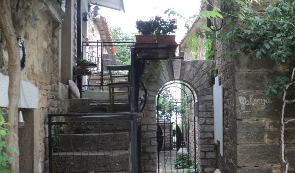 DSC03943