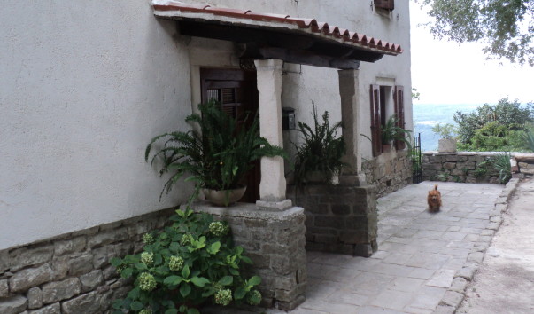 DSC03970