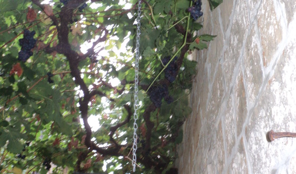 DSC03964