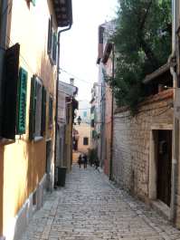 photo 684855