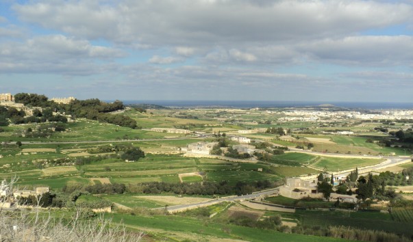 DSC06202