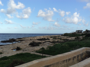 photo 1114023