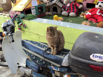 photo 1116413