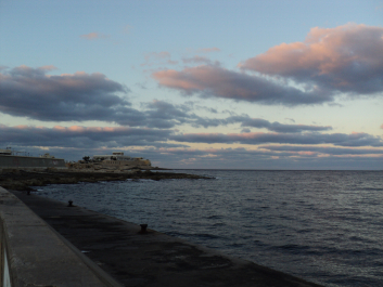 photo 1117639