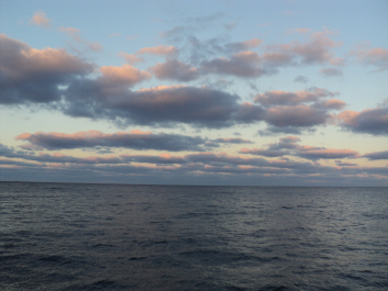 photo 1117640