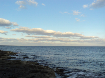 photo 1117642