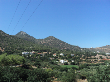 photo 1164115