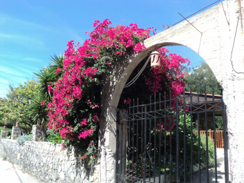 photo 1217147