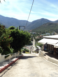 photo 1262042
