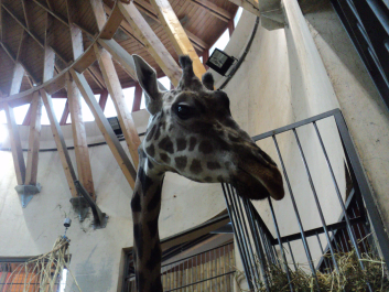 photo 1269041
