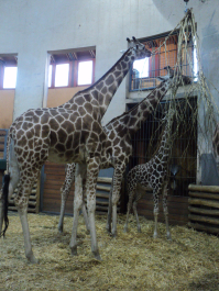 photo 1269044