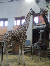 photo 1269048