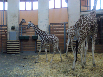 photo 1269068