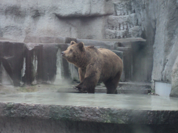 photo 1271143