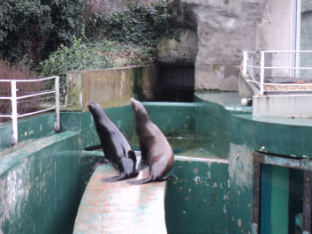 photo 1271146