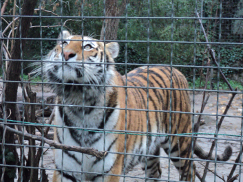 photo 1271149