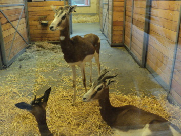photo 1271151
