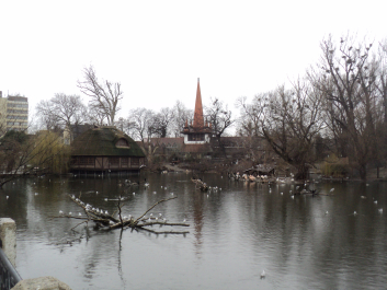 photo 1271605