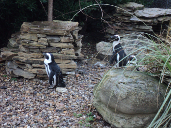 photo 1271614