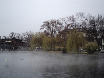 photo 1272558