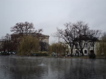 photo 1272559
