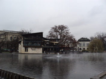 photo 1272561