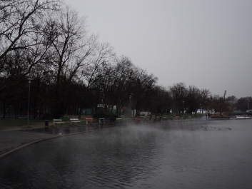 photo 1272563