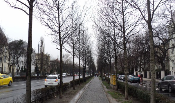 DSC09593