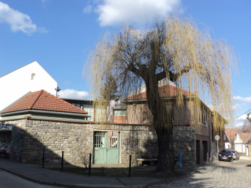 photo 1268235