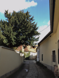 photo 1277647